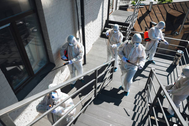 Best Mold Remediation for Healthcare Facilities  in Hernando Beach, FL