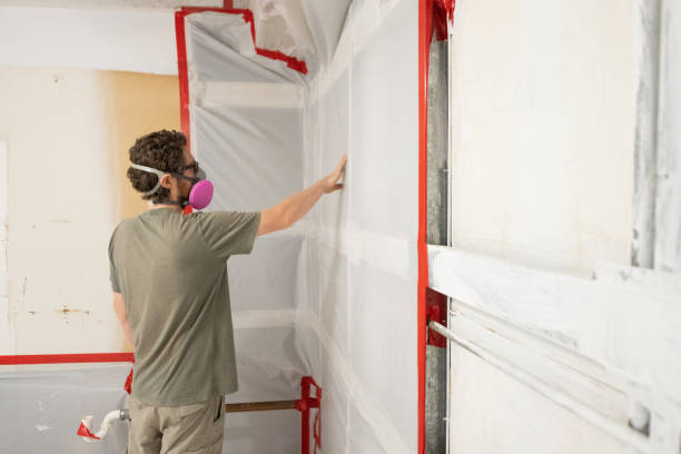 Best Mold Damage Restoration  in Hernando Beach, FL