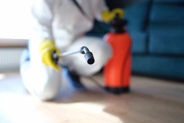 Best Crawl Space Mold Remediation  in Hernando Beach, FL