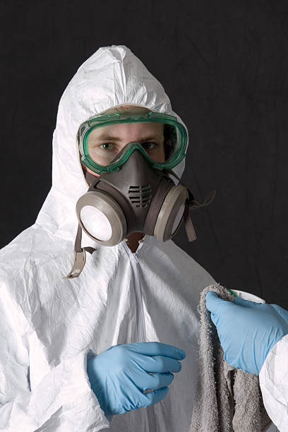Best Real Estate Mold Inspection  in Hernando Beach, FL